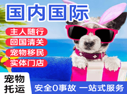 丹东浪头机场货运国际宠物托运 【国